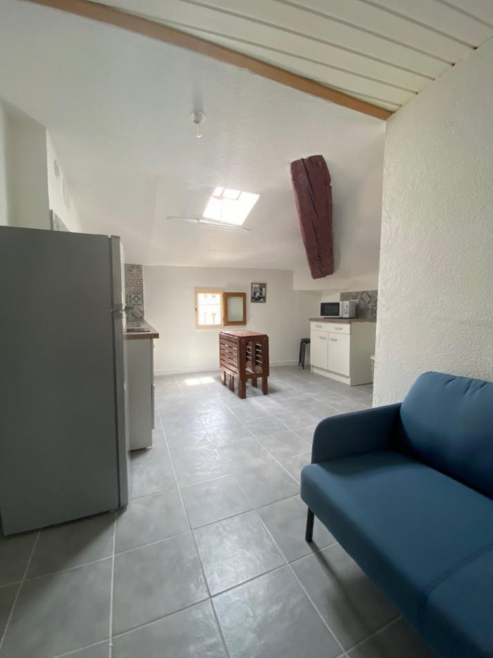 location Appartement rénové Pezenas - Photo 7