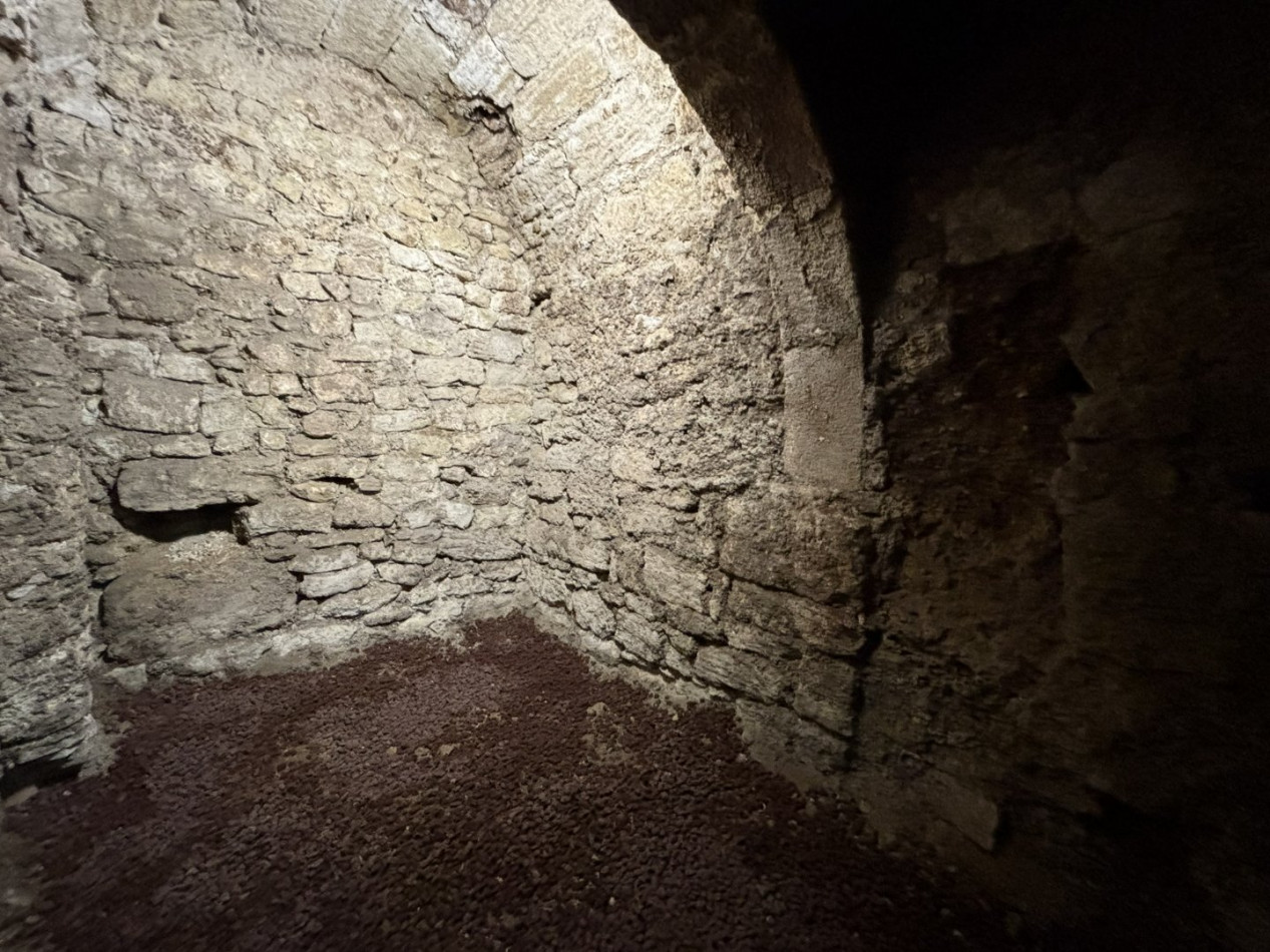 location Cave Pezenas - Photo 2