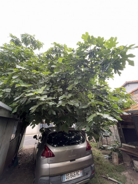 vente Maison à rénover Agde - Photo 8