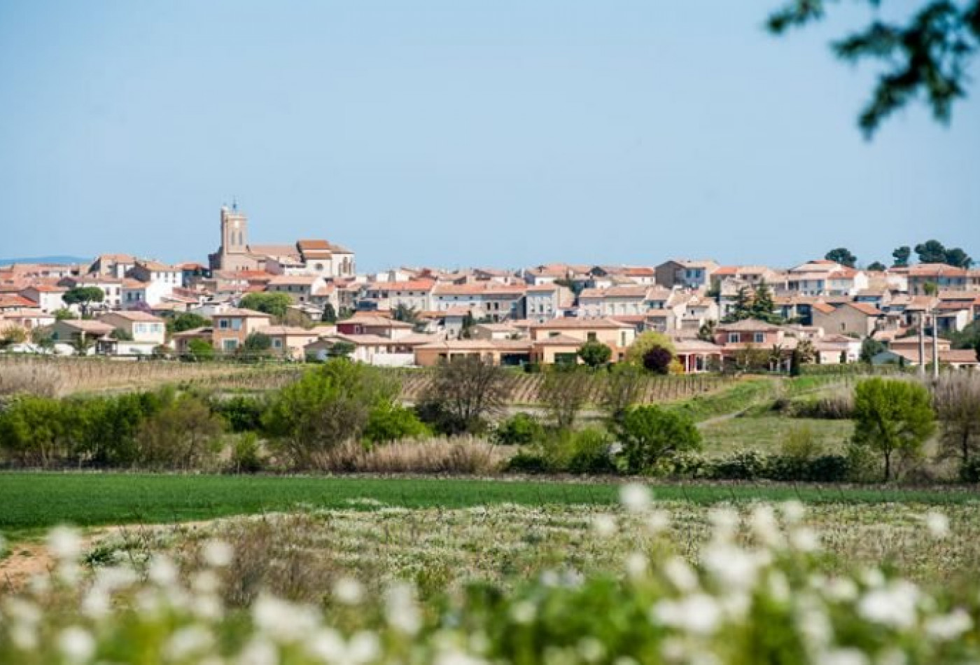 vente Terrain constructible Servian - Photo 1