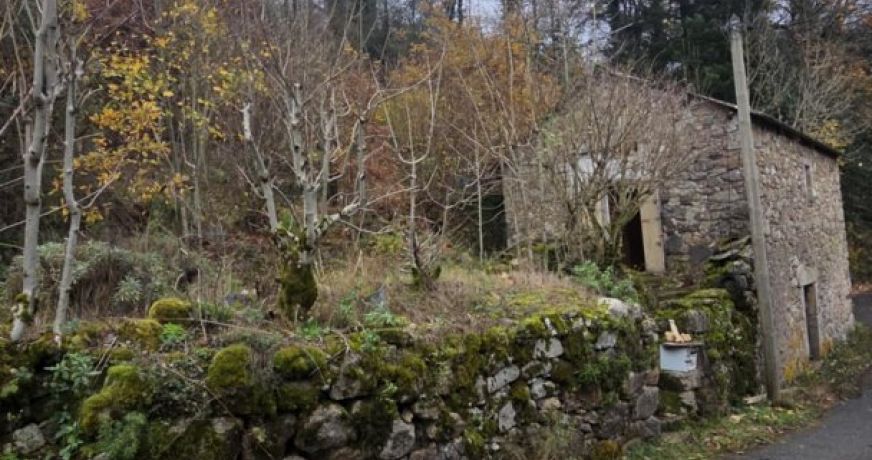 vente Maison de campagne Fraisse Sur Agout