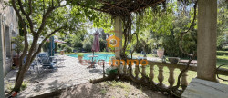 vente Domaine Lespignan