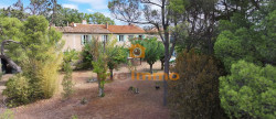 vente Domaine Lespignan