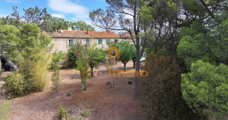 vente Domaine Lespignan