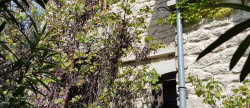 vente Maison Montpellier