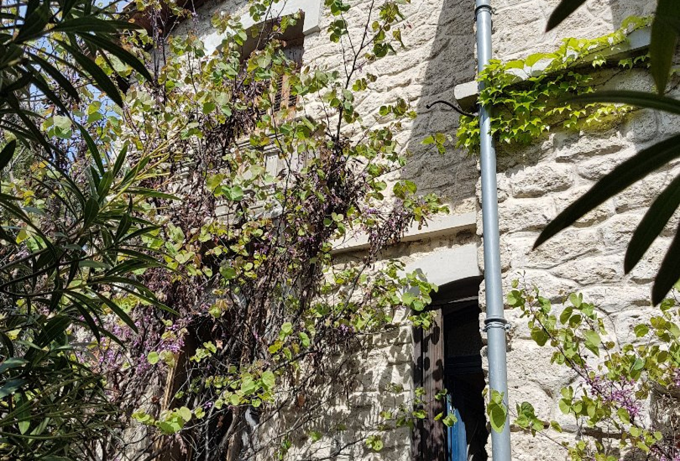 vente Maison Montpellier - Photo 2