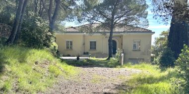 vente Sete