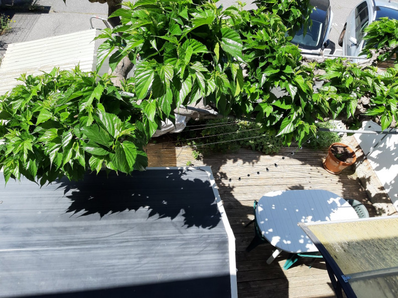 vente Maison Vias - Photo 4