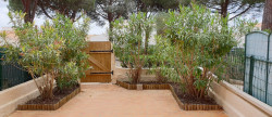 vente Appartement Le Cap D'agde