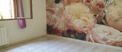 vente Maison Agde