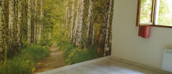 vente Maison Agde
