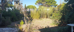 vente Maison Le Grau D'agde