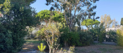 vente Maison Le Grau D'agde