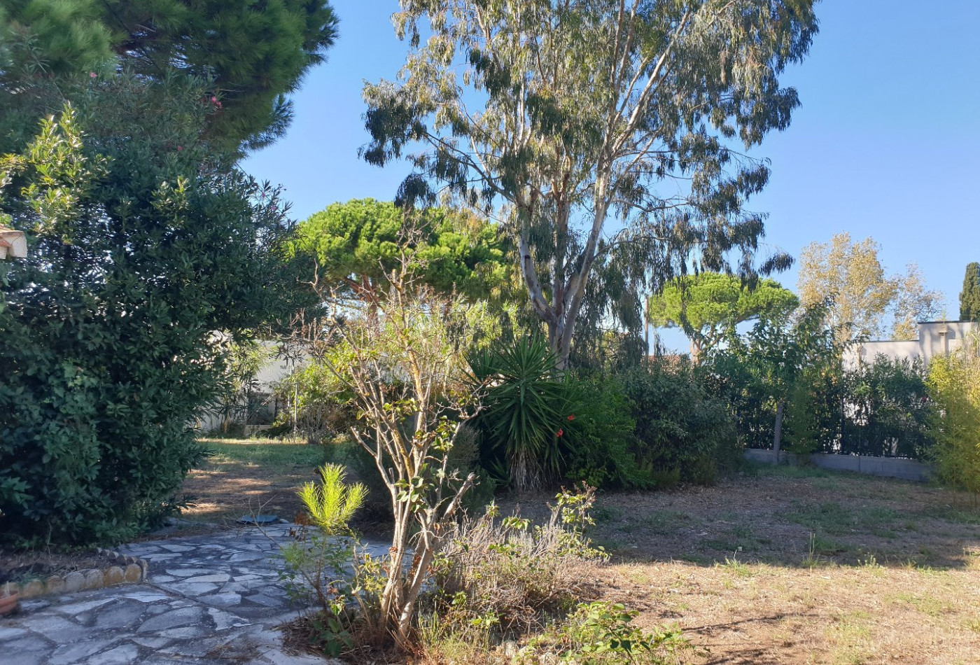 vente Maison Le Grau D'agde - Photo 3