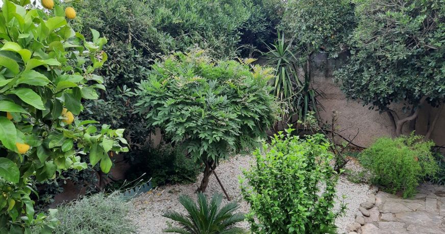 vente Maison bourgeoise Agde