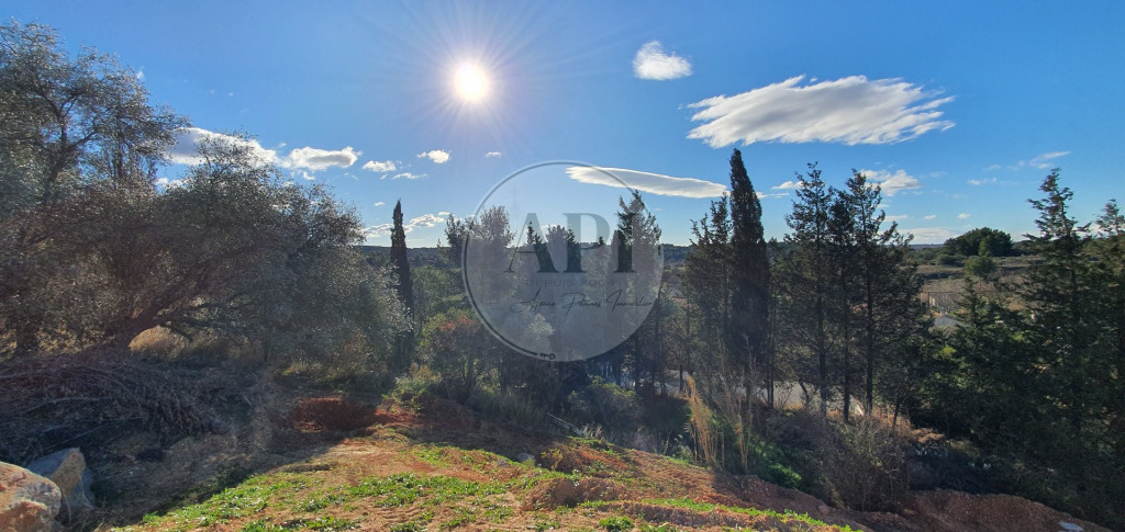 à vendre Terrain Castelnau De Guers - Photo 2