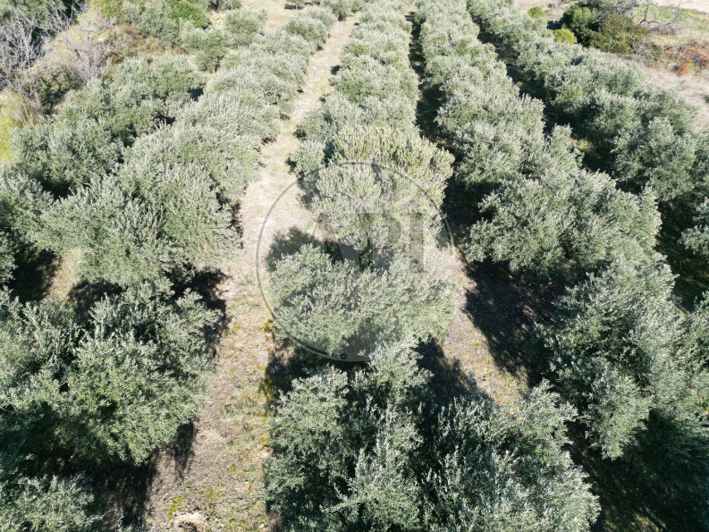 vente Terrain agricole Pezenas - Photo 6
