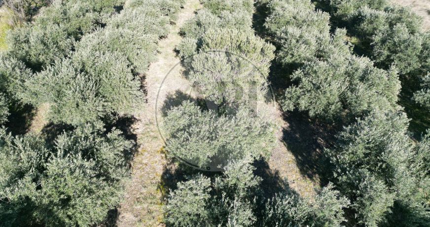 vente Terrain agricole Pezenas