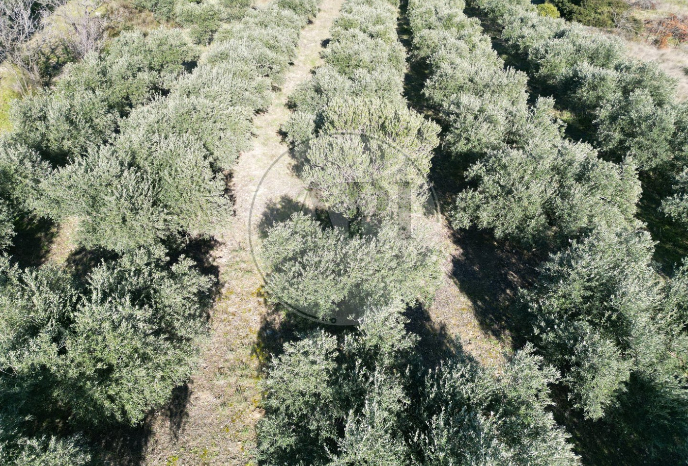 vente Terrain agricole Pezenas - Photo 6