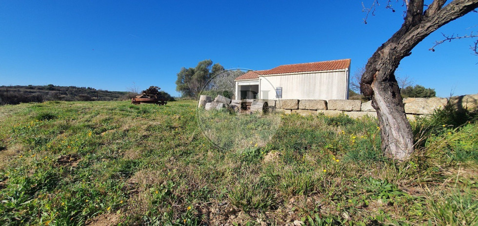 vente Terrain agricole Pezenas - Photo 1