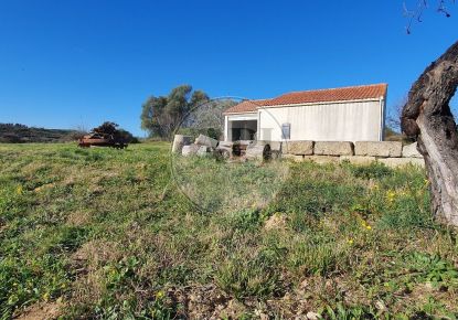 vente Terrain agricole Pezenas