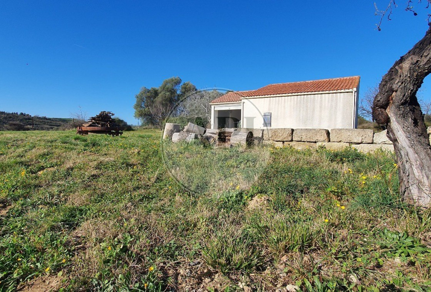 vente Terrain agricole Pezenas - Photo 1