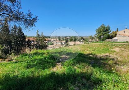 vente Terrain Castelnau De Guers