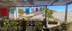 vente Appartement ancien Pezenas