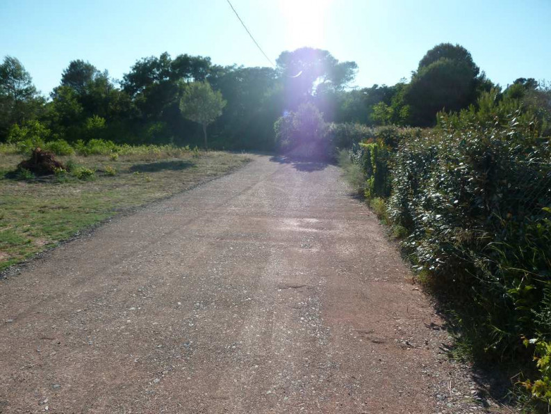 vente Terrain constructible Clermont L'herault - Photo 9