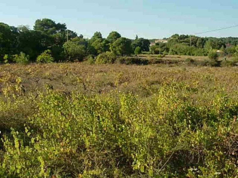 vente Terrain constructible Clermont L'herault - Photo 2
