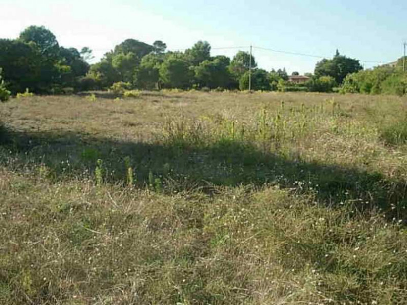 vente Terrain constructible Clermont L'herault - Photo 3