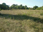 vente Terrain constructible Clermont L'herault