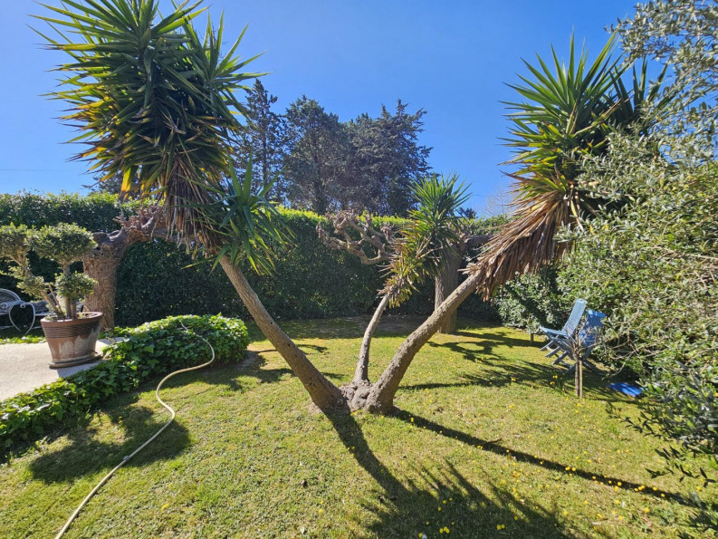 vente Villa d'architecte Bouzigues - Photo 8