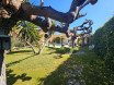 vente Villa d'architecte Bouzigues