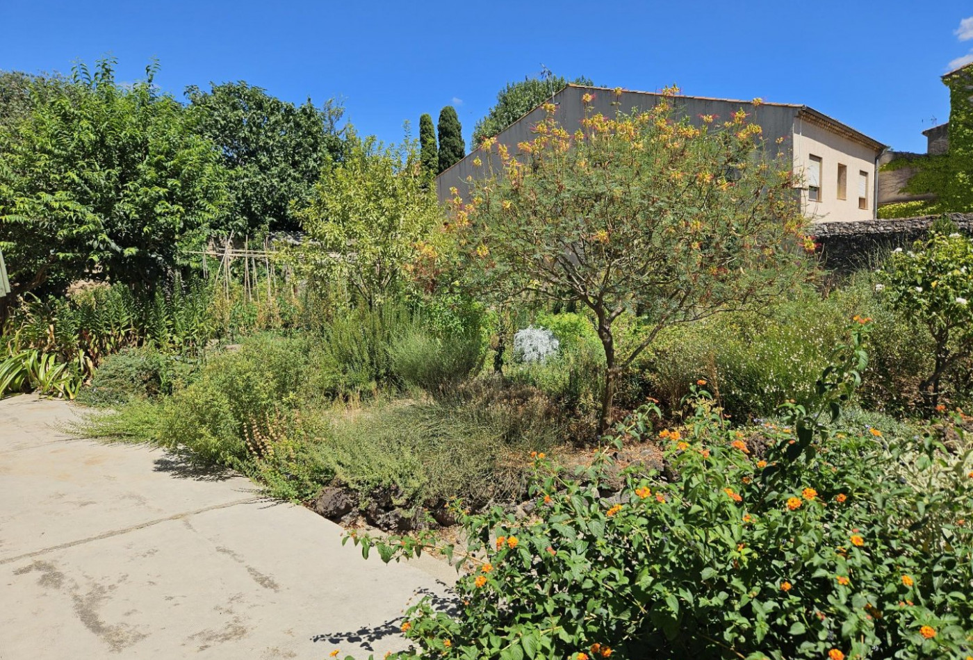 vente Maison vigneronne Servian - Photo 1
