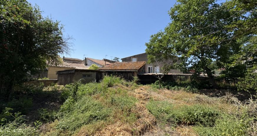 vente Maison vigneronne Servian