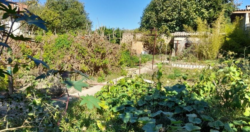 vente Maison vigneronne Servian