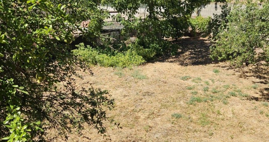 vente Maison vigneronne Servian