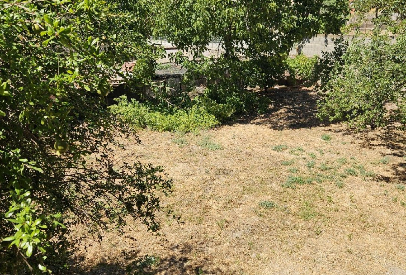 vente Maison vigneronne Servian - Photo 5