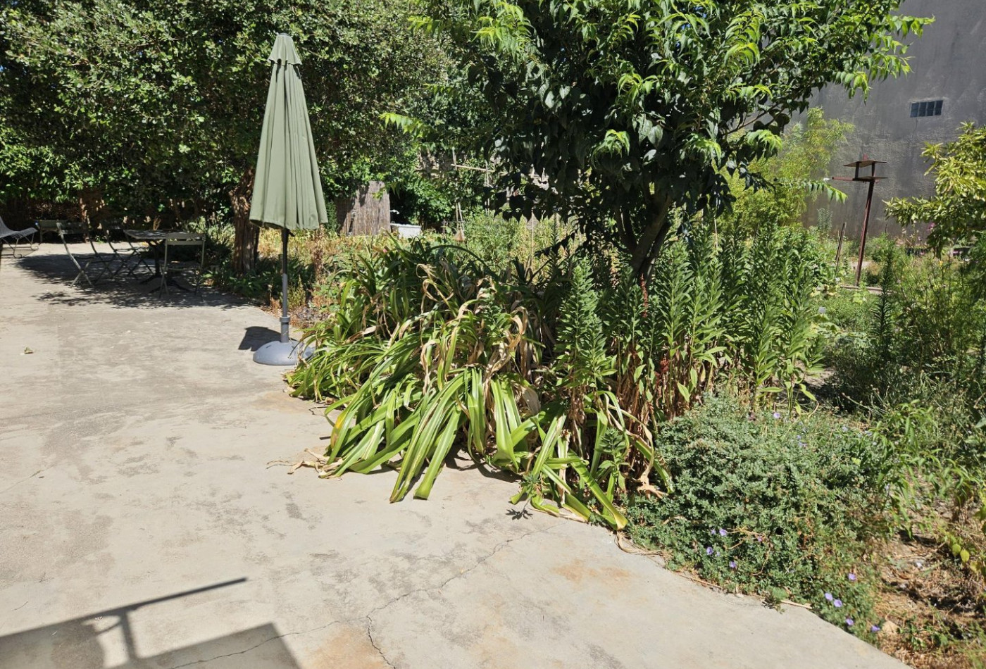 vente Maison vigneronne Servian - Photo 4