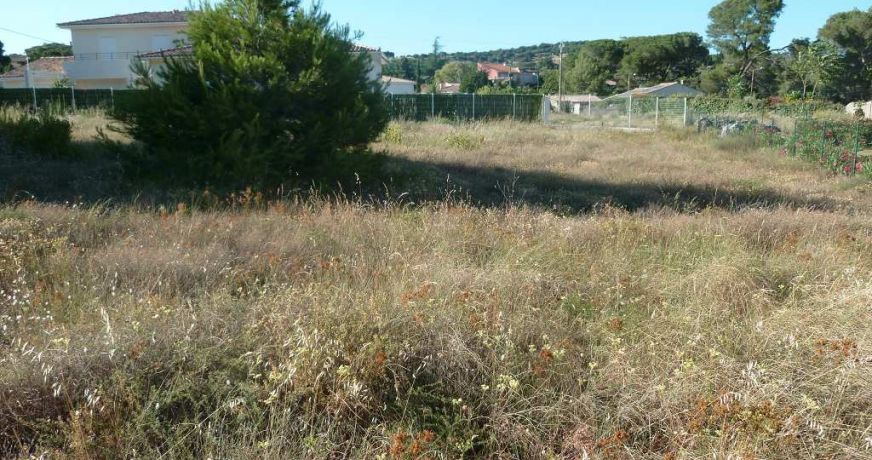 vente Terrain constructible Clermont L'herault