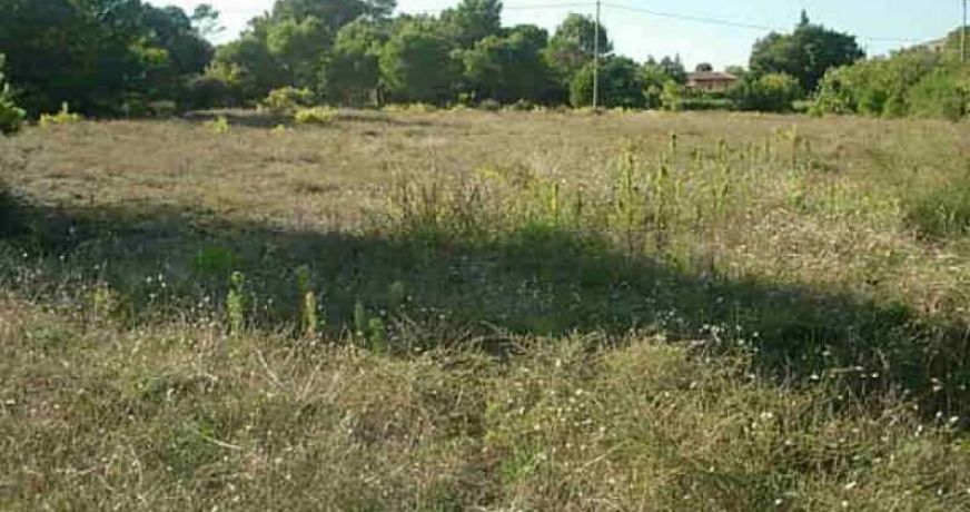 vente Terrain constructible Clermont L'herault