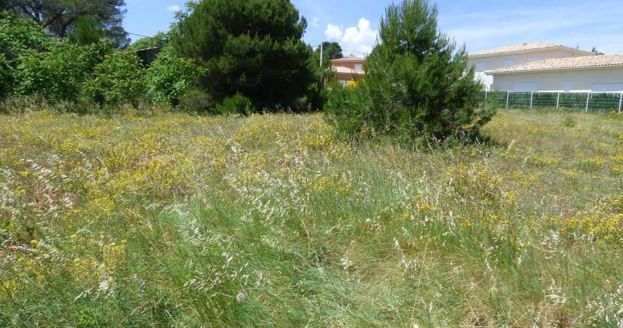vente Terrain constructible Clermont L'herault
