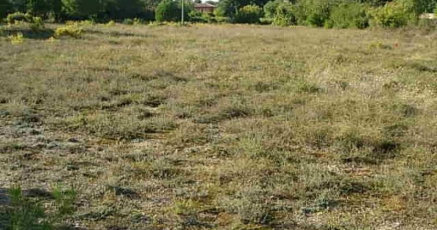 vente Terrain constructible Clermont L'herault