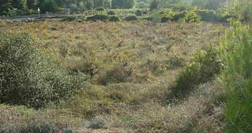 vente Terrain constructible Clermont L'herault