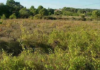 vente Terrain constructible Clermont L'herault