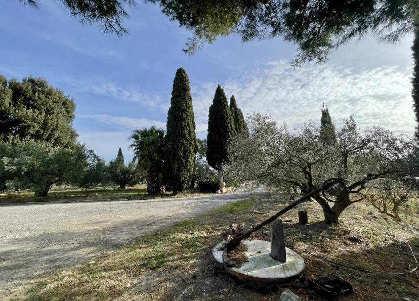 vente Mas Lespignan - Photo 2