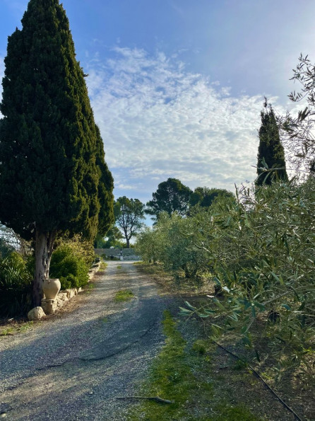 sale Mas Lespignan - Photo 3