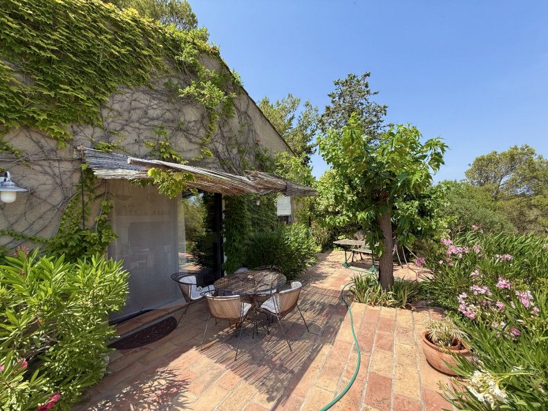 sale Lespignan - Photo 3