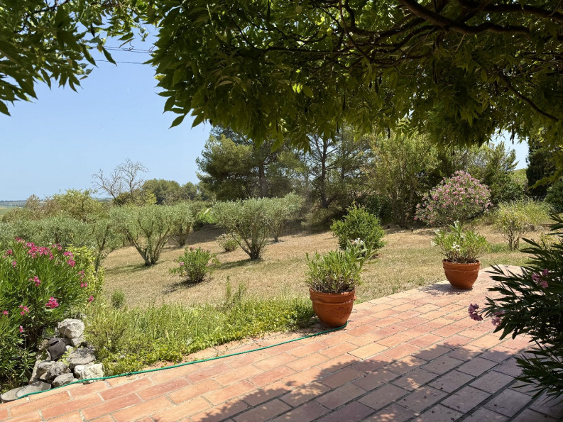 sale Lespignan - Photo 2
